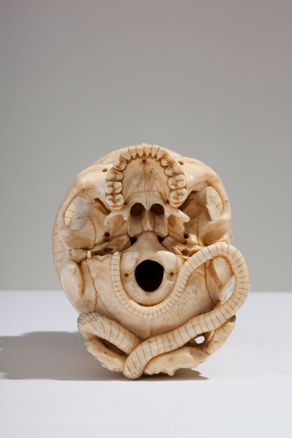 Japanese Ivory Skull with Coiled Snake and Toads